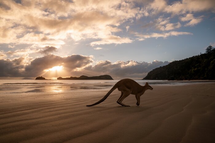Kangaroo Island