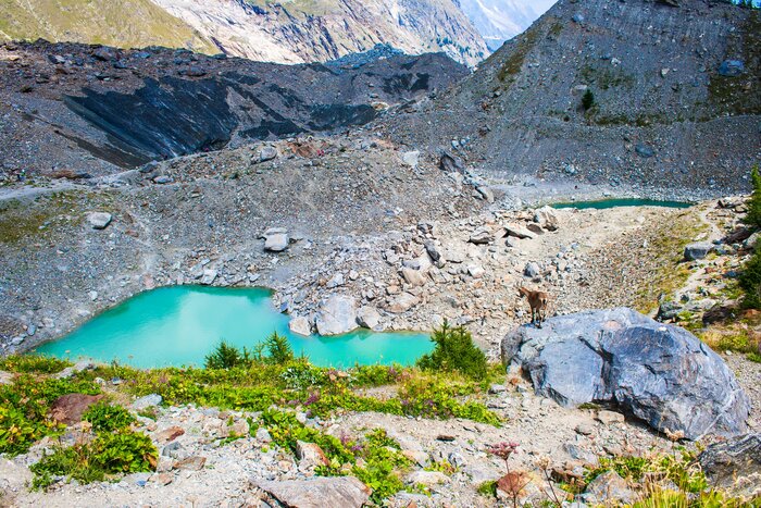 Day 4: Hike from the Chapieux to Val Veny