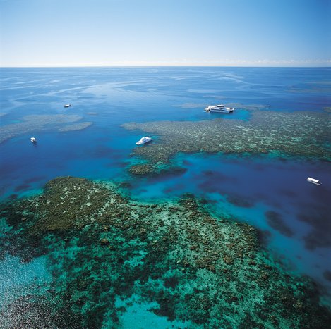 Palm Cove - The Great Barrier Reef
