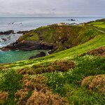 Take to the Cornish coast in May and visit Lizard Point