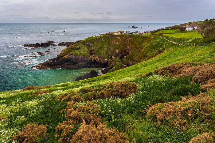Take to the Cornish coast in May and visit Lizard Point