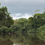 The alluring, wildlife-rich waterways of Tortuguero National Park