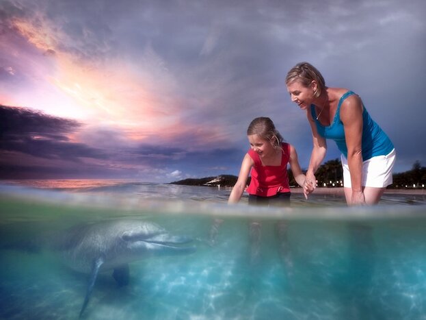 Tangalooma Island Resort Full Day Marine Discovery Day Cruise