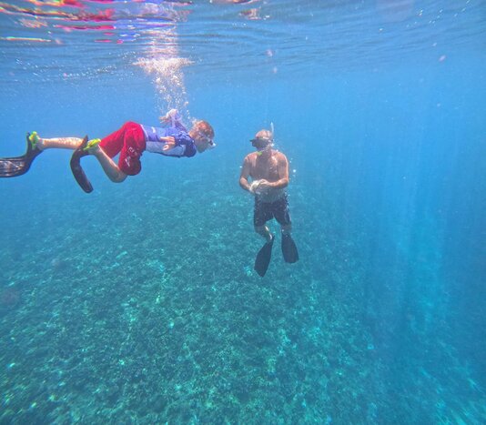 Sea Life Secrets: Snorkel the French Riviera