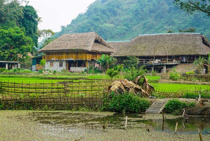 Xin Man  travel to Ha Giang via Hoang Su Phi 