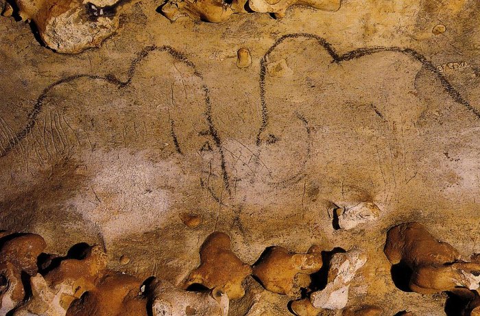 Rouffignac Cave (Entrance Tickets Included)