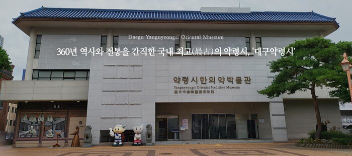 Daegu Cultural Discovery: Dodong Seowon and Oriental Medicine Experience