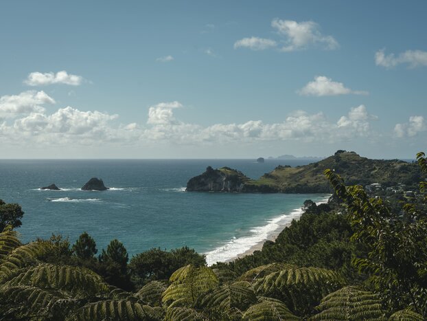 Hiking in and Around the Coromandel Peninsula