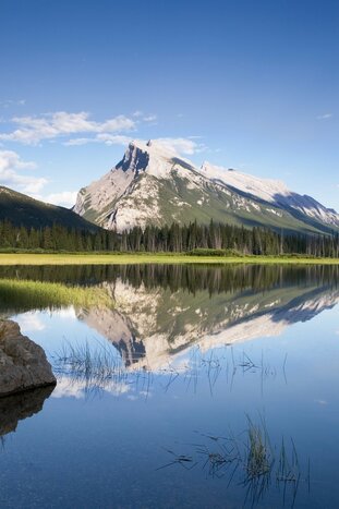 Private Discover Banff and it's Wildlife