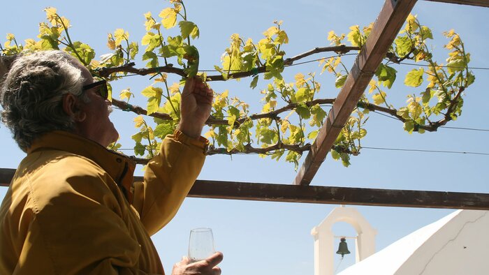 Private Wine Experience