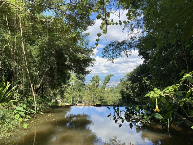 Trek the Monks’ Trail to Wat Pha Lat & Doi Suthep