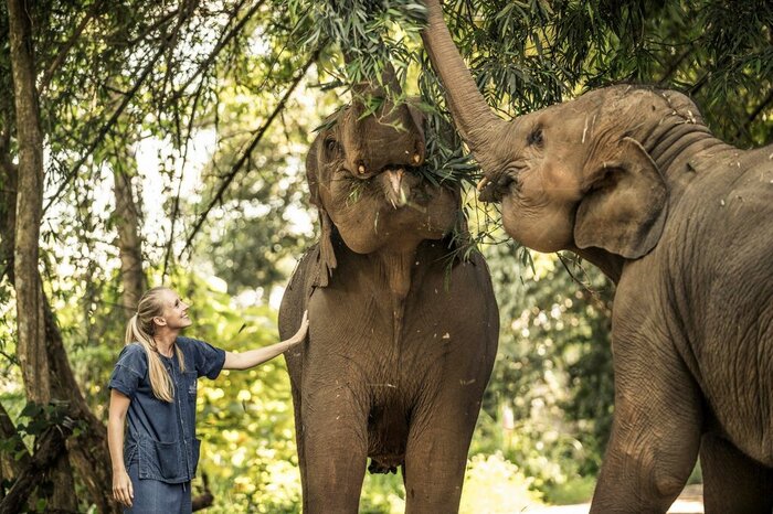 Be an elephant caretaker for the day at an eco-resort near Chiang Rai