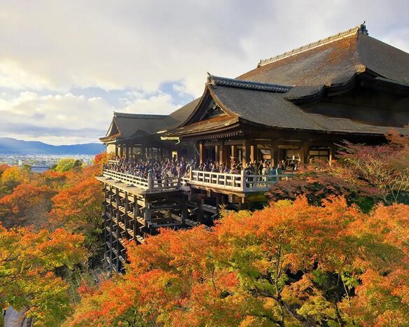 Full Day Kyoto Tour with English Speaking Guide and Public Transportation (Private)