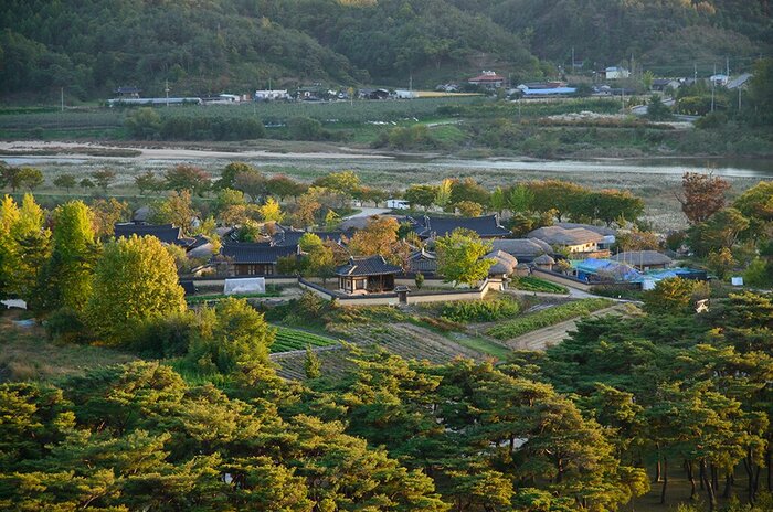 Half Day Andong Hahoe Folk Village and Byeongsan Seowon Tour
