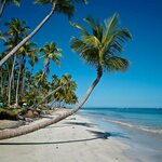 Beautiful Sunny Beaches