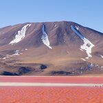 Flamingos on Laguna Colorada