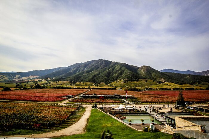 Food & Wine Experience at Viña Montes 7th best Vineyard in the World!