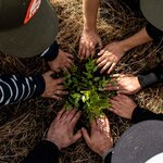 kimkim partners with on-the-ground conservation groups working to make travel a force for lasting environmental good (photo courtesy of ReforestArg)