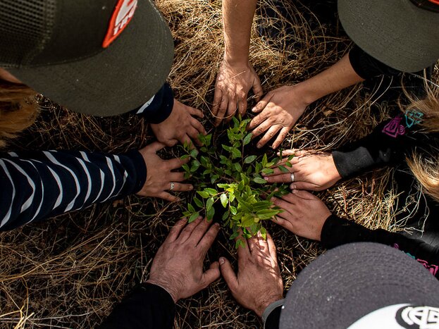 kimkim partners with on-the-ground conservation groups working to make travel a force for lasting environmental good (photo courtesy of ReforestArg)