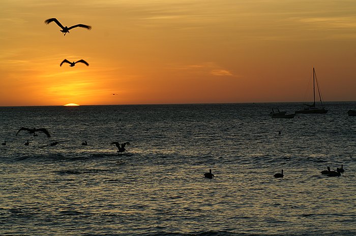 Self-Guided Playa Langosta Crossing and Beach Day