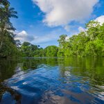 A jungle river in the Ecuadorian rainforest