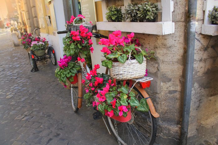 Rome food walk - small group