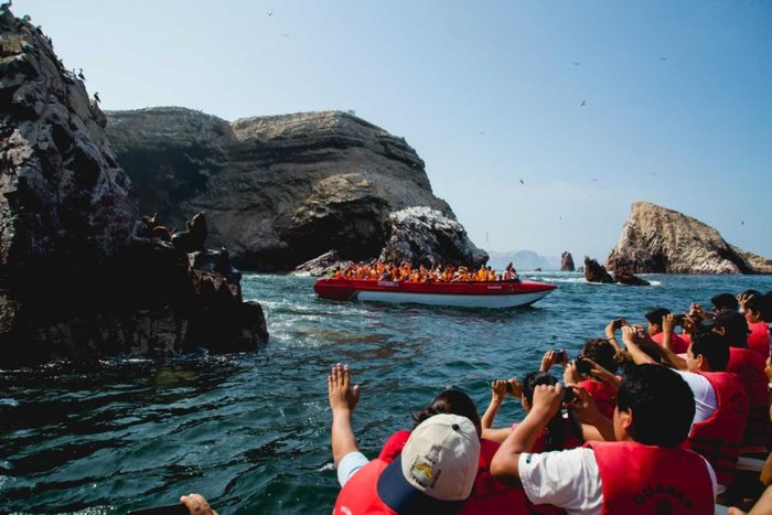 Shared Ballestas Islands & Paracas Nature Reserve