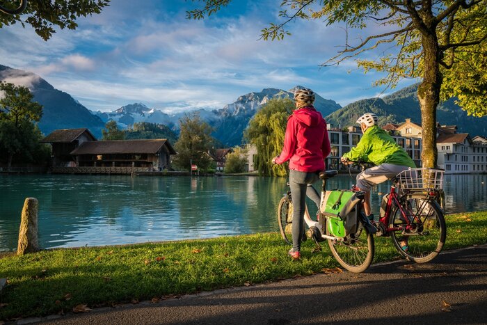 Guided E-bike tour around Interlaken ! - Family friendly