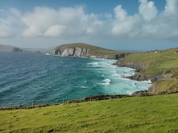 Dingle Bay Eco tour