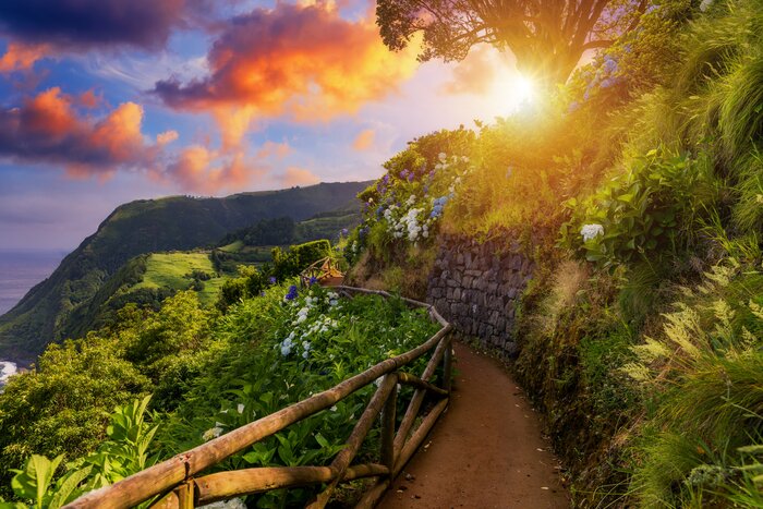 A trail leading toward Ponta da Madrugada, Sao Miguel, Azores