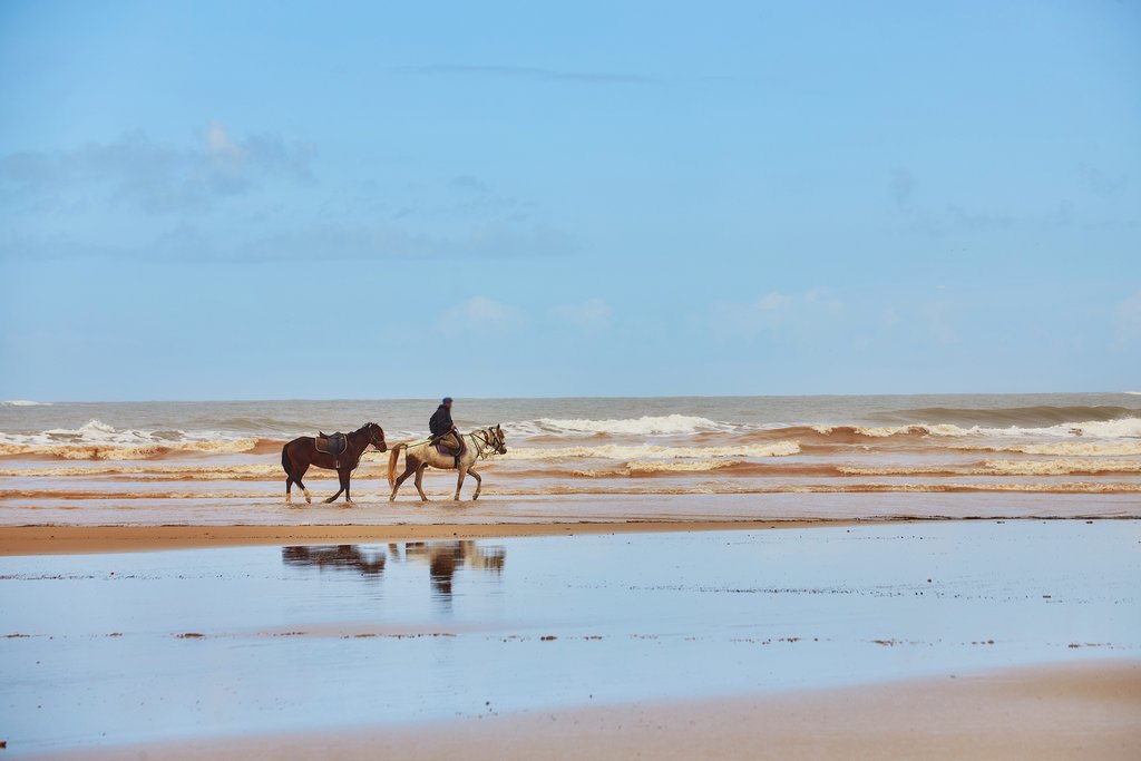 A spontaneous ride on the beach is easy to arrange in Chile