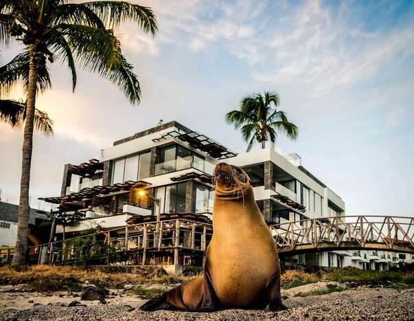 Luxury digs and diverse wildlife await on Isla Isabela (photo courtesy of Golden Bay Galápagos)