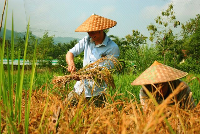 Living Lands Organic Farm