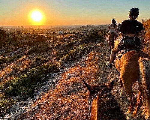 Horse Riding in Paros