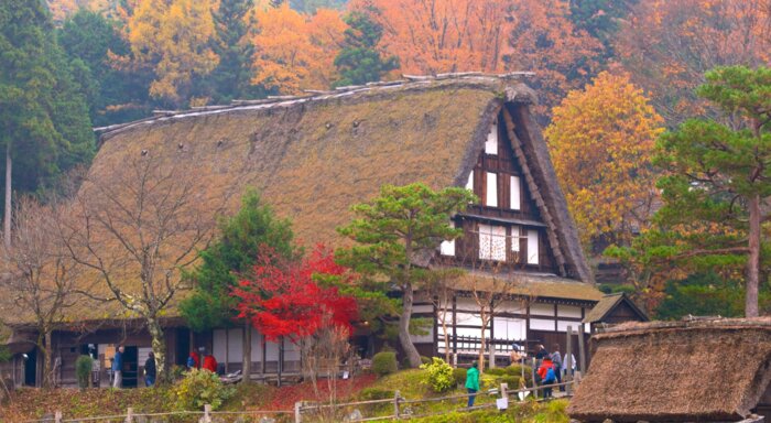 1-Day Guided Tour from Takayama Ouan Hotel: Kokubun-ji Temple, Hida Folk Village & Hida Great Limestone Cave