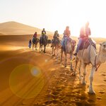Ride across the desert dunes by camel