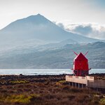 Immerse yourself in the volcanic landscapes of Pico Island
