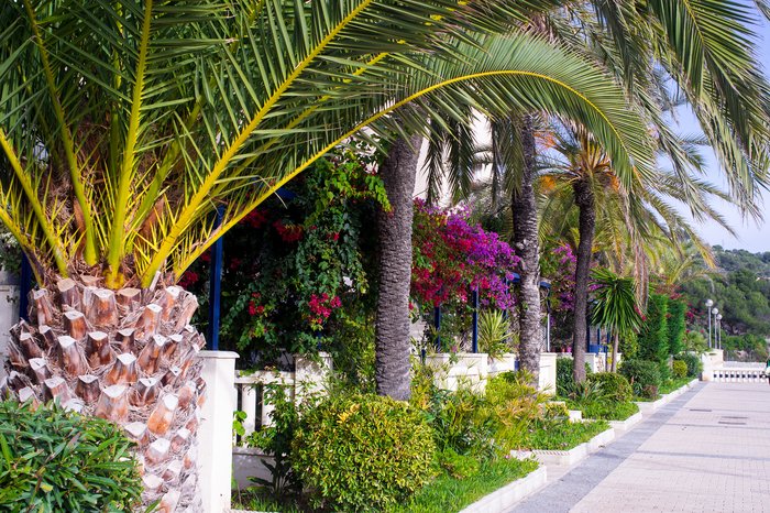 Barcelona by E-Bike: Iconic Sights & Hidden Gems