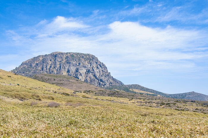Jeju Island UNESCO Day Tour (South Course)
