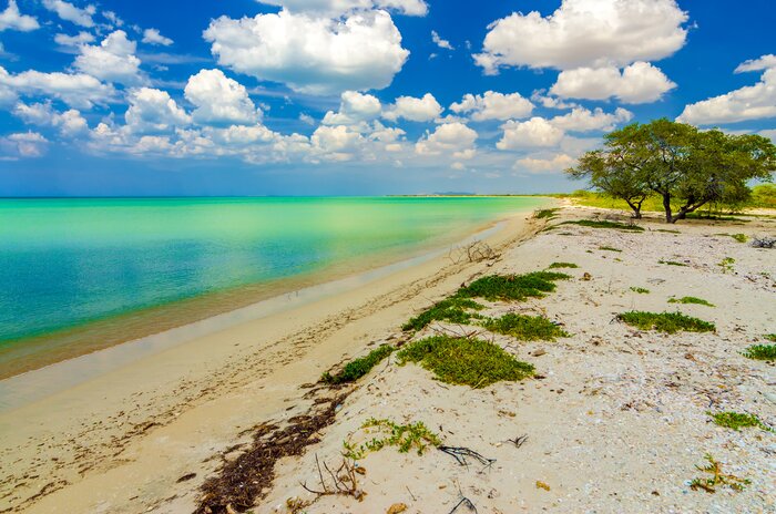 Experience a variety of beaches along Colombia's Caribbean coast