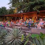 KOKI Bar in Puerto Viejo