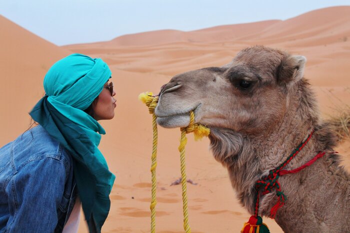 Camel Trek into Luxury Sahara Camp