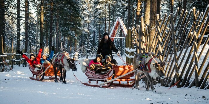 Private Reindeer Farm Visit