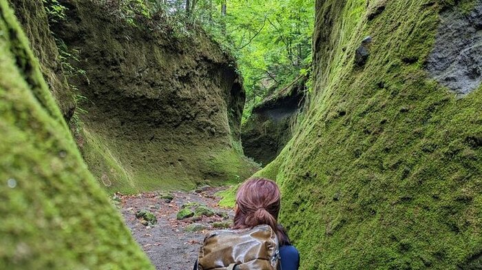  Lake Shikotsu Moss Corridor Hiking Tour