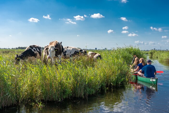 Amsterdam - Explore wetlands by canoe (5hr)