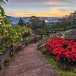 Enjoy time spent in Huay nam dung national park in Chiang Mai