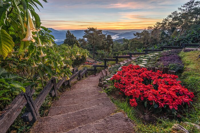 Enjoy time spent in Huay nam dung national park in Chiang Mai