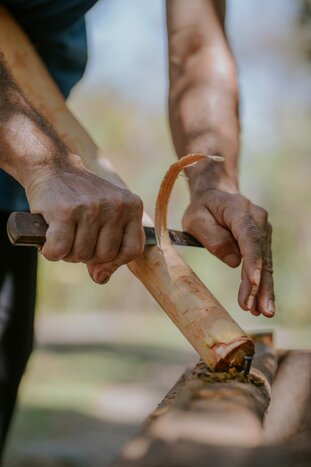 Villa Vanilla Spice Tour