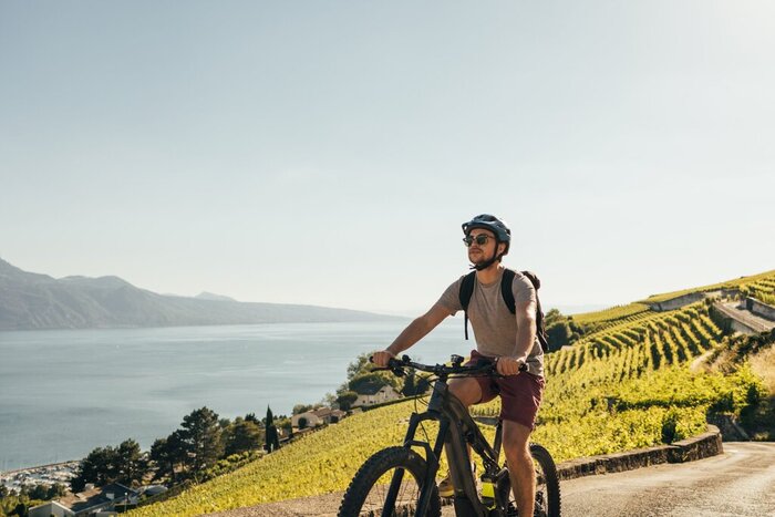 E-bike tour in the UNESCO Lavaux vineyards