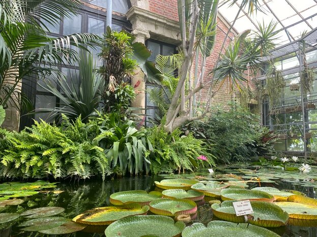 Leuven - Botanical Gardens (Kruidtuin)